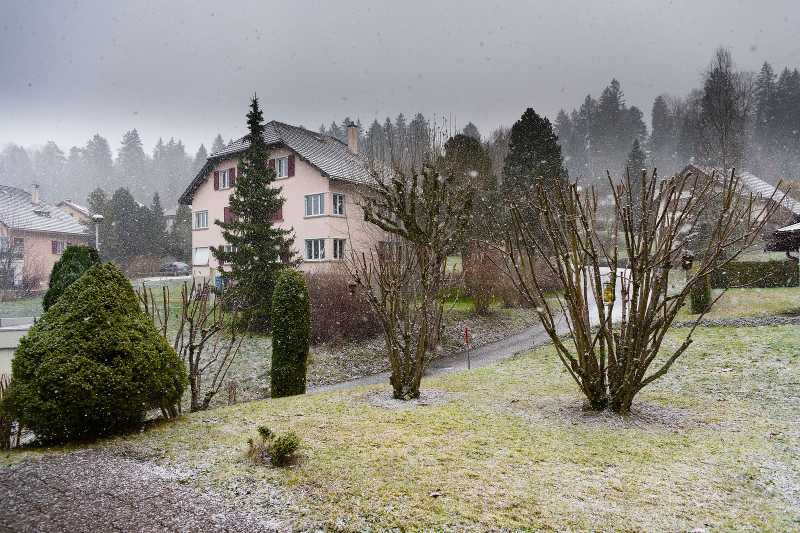 Snow falling on a quiet suburban street lined with houses